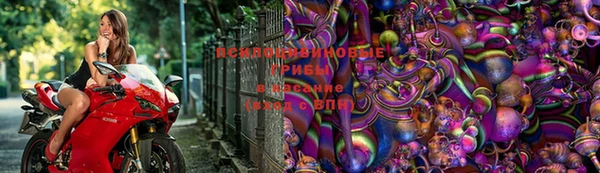 хмурый Белоозёрский