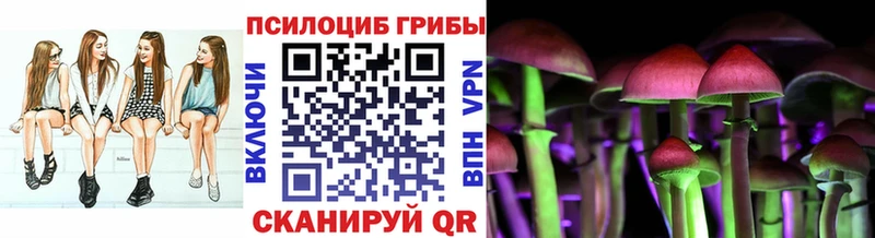 Псилоцибиновые грибы MAGIC MUSHROOMS  маркетплейс какой сайт  Курчалой 
